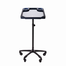 Load image into Gallery viewer, Braids & Freckles • Magnetic Colorist Small Tray • Black