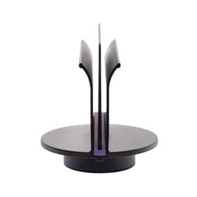 Load image into Gallery viewer, Braids & Freckles • Ultimate Colorist Tray Set